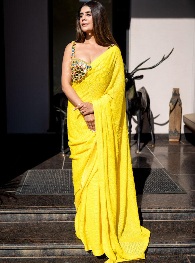 Mehal in the Sunshine sari