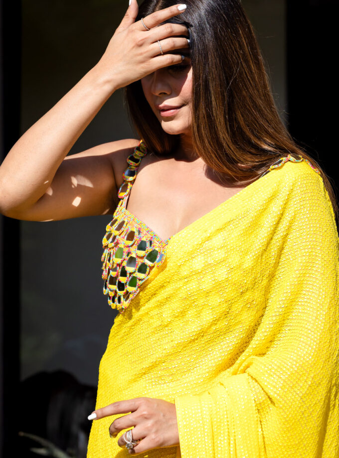 Mehal in the Sunshine sari
