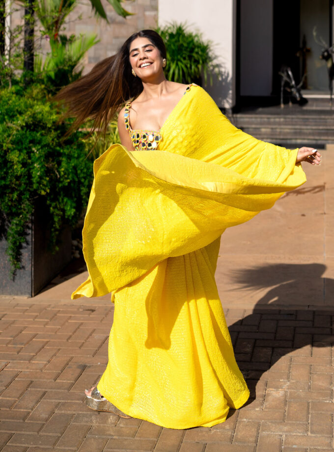 Mehal in the Sunshine sari