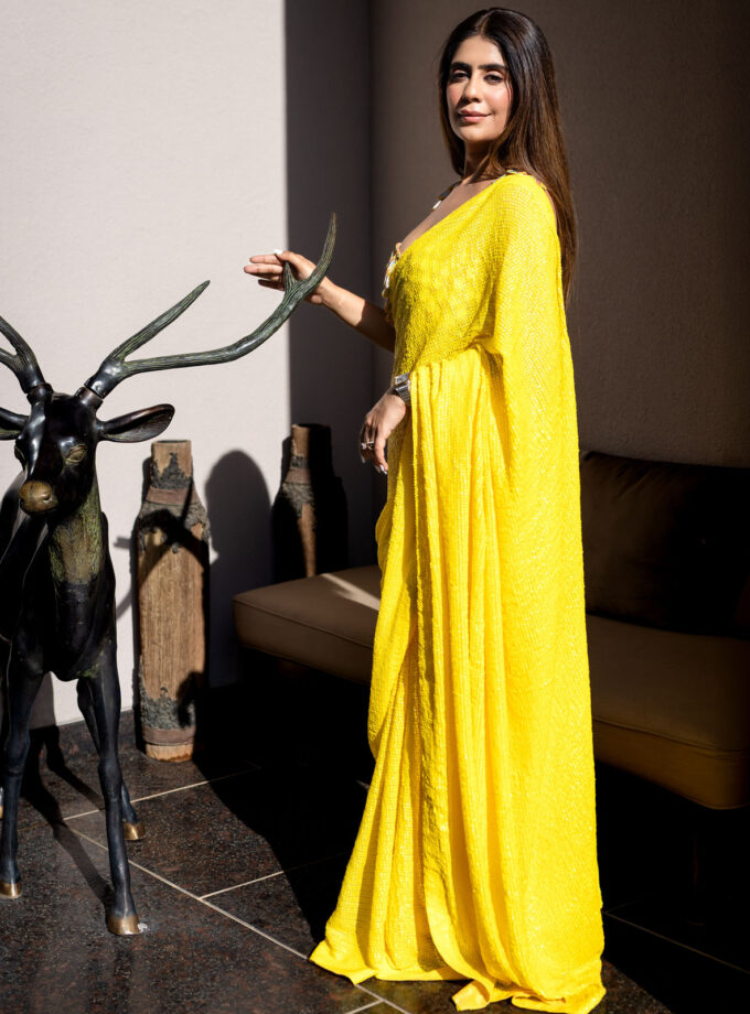 Mehal in the Sunshine sari